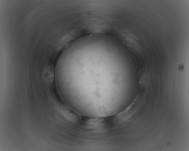 X0000093380179200710111503