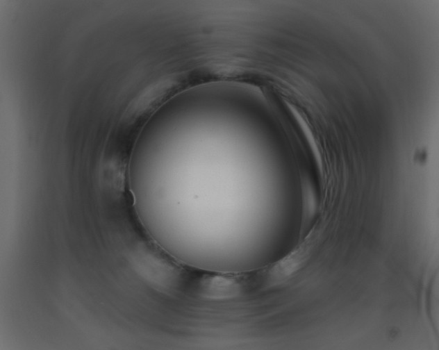 X0000093380180200710111503