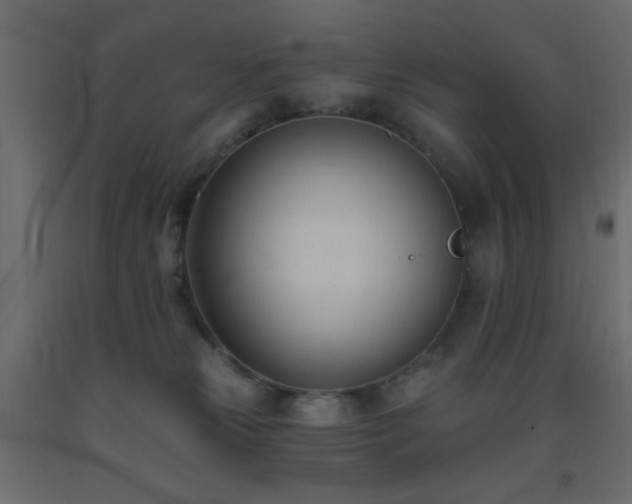 X0000093380181200710111503