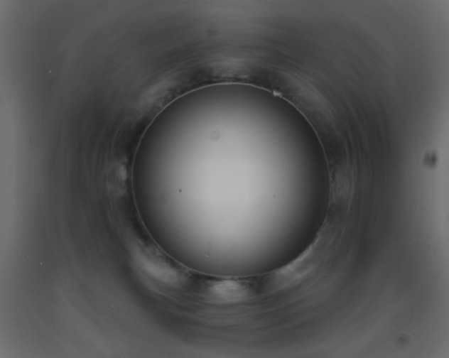 X0000093380183200710111503