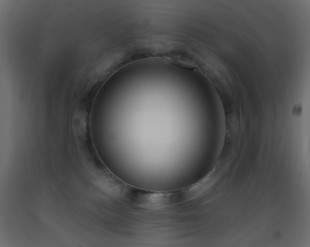 X0000093380184200710111503