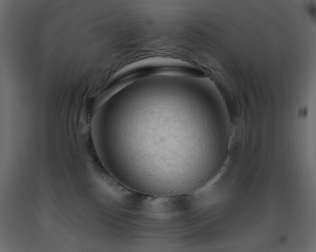 X0000093380186200710111503