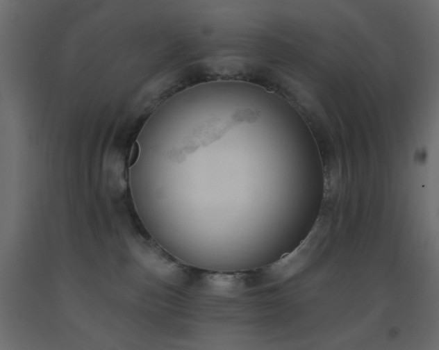 X0000093380187200710111503