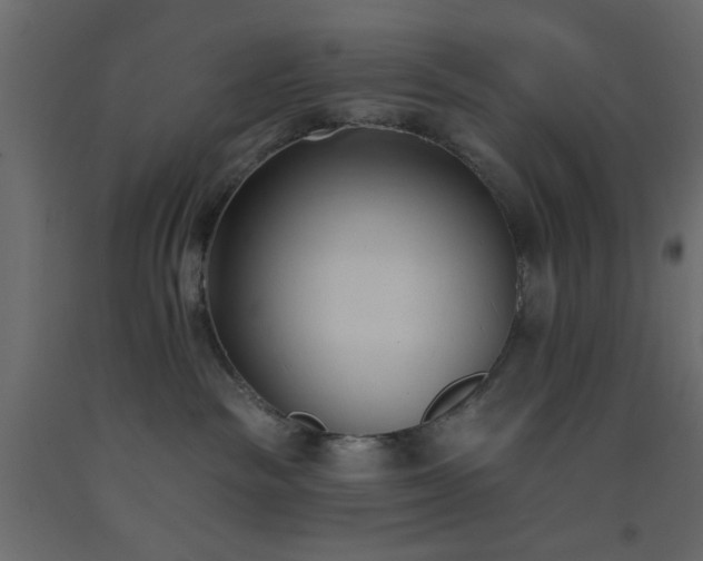 X0000093380189200710111503