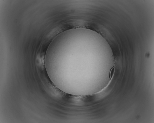 X0000093380190200710111503