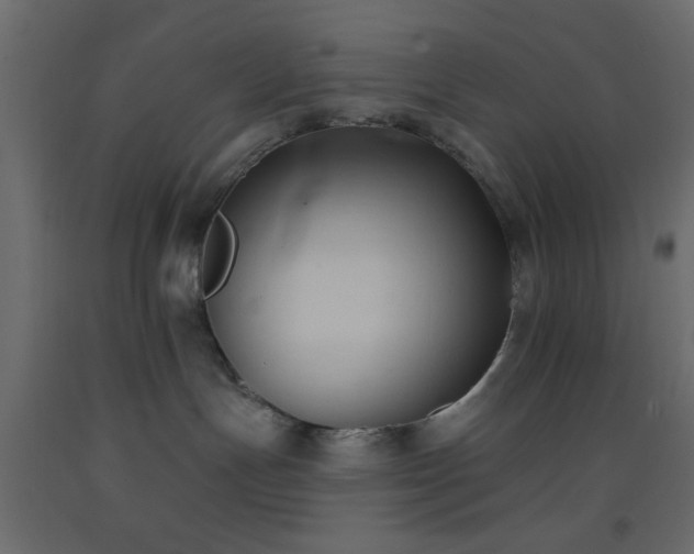 X0000093380191200710111503