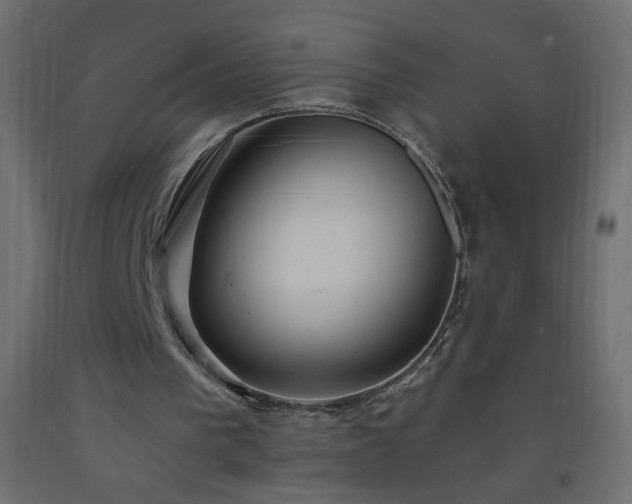 X0000093380193200710111502
