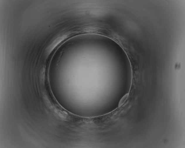 X0000093380194200710111502