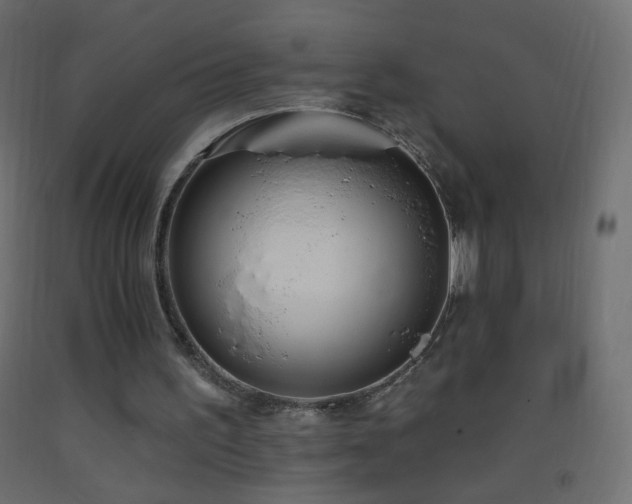 X0000093380195200710111502