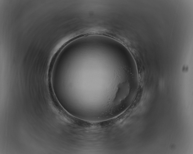X0000093380196200710111502