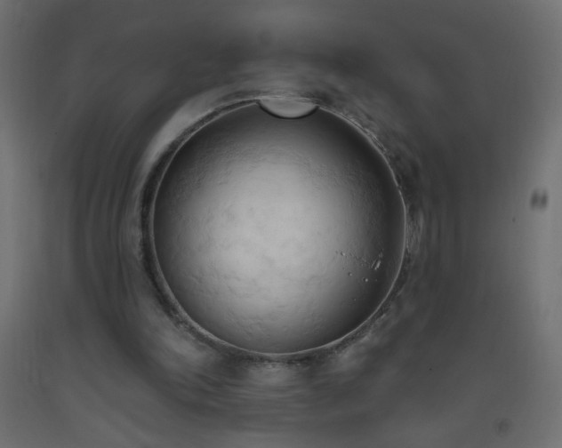 X0000093380198200710111502