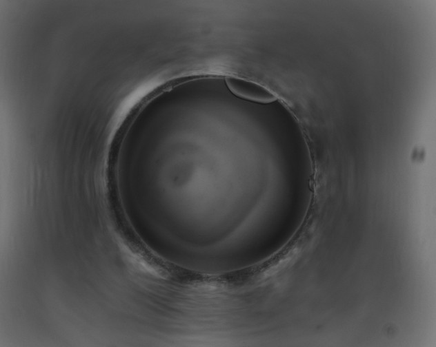 X0000093380200200710111502