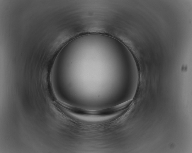 X0000093380201200710111502