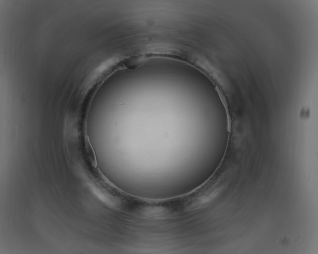 X0000093380203200710111502
