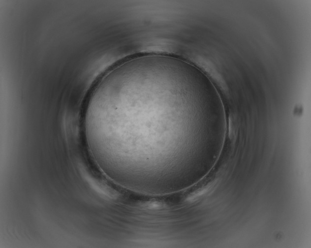 X0000093380204200710111502