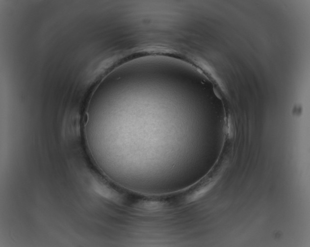 X0000093380205200710111502