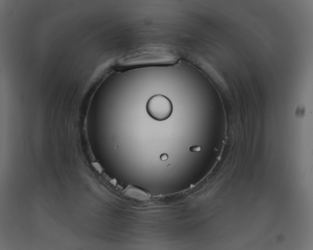 X0000093380207200710111502