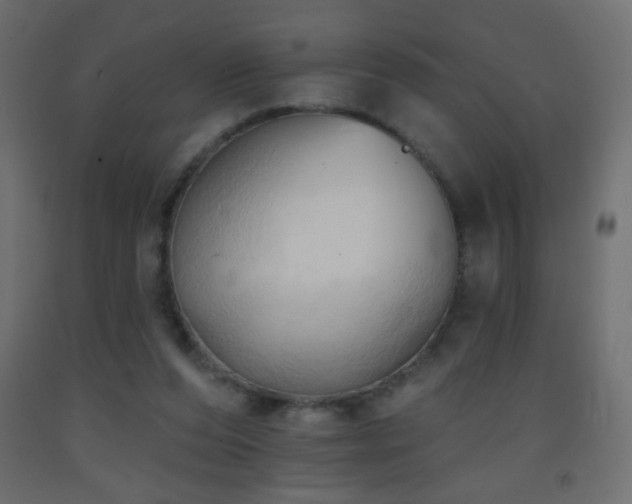 X0000093380208200710111502
