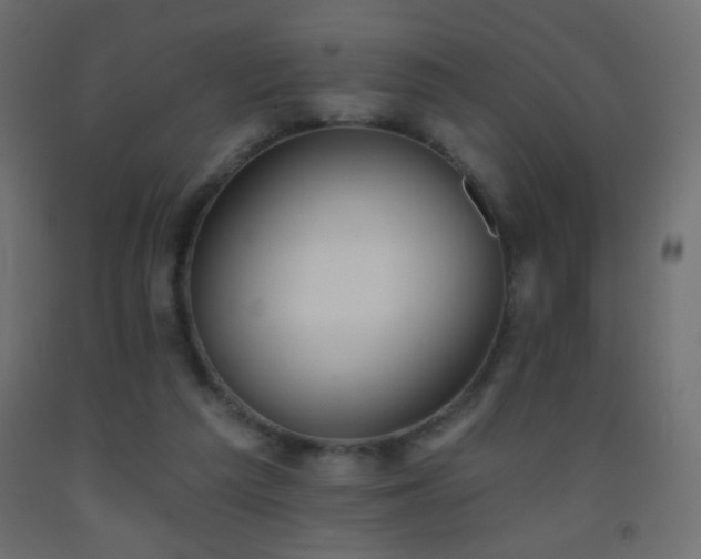X0000093380209200710111502