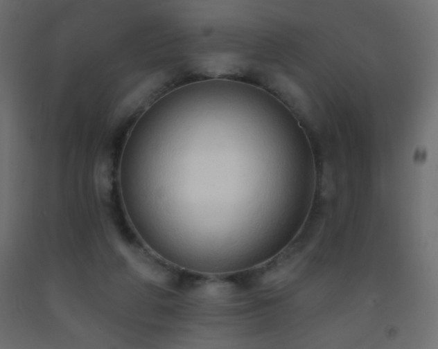 X0000093380210200710111502