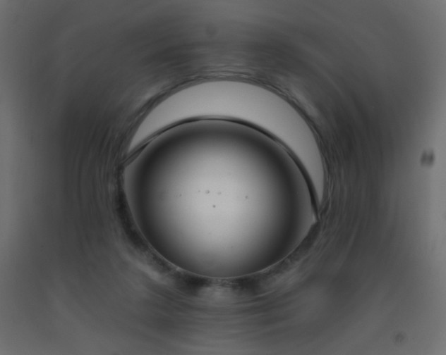 X0000093380211200710111502