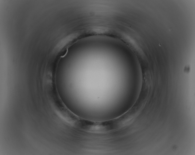 X0000093380212200710111502