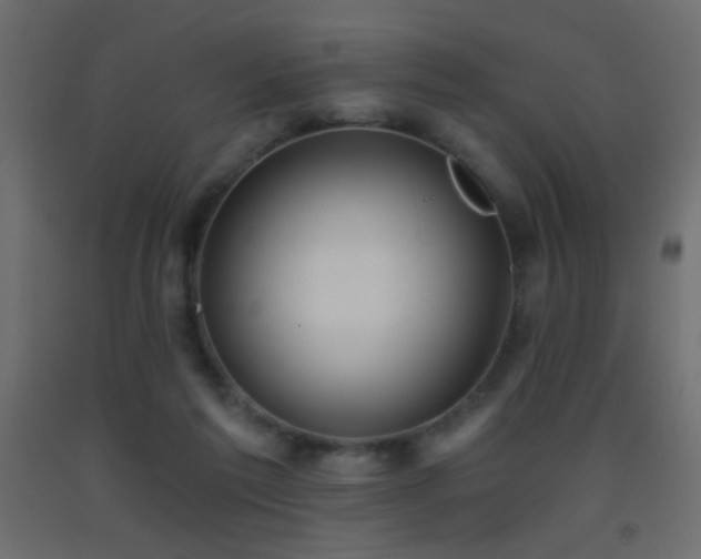 X0000093380213200710111502