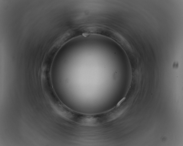 X0000093380217200710111502