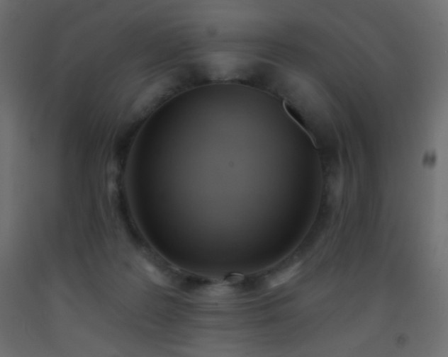 X0000093380219200710111502