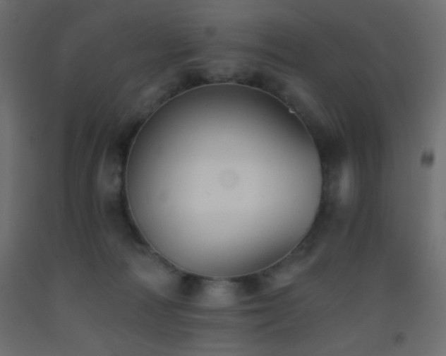 X0000093380226200710111502
