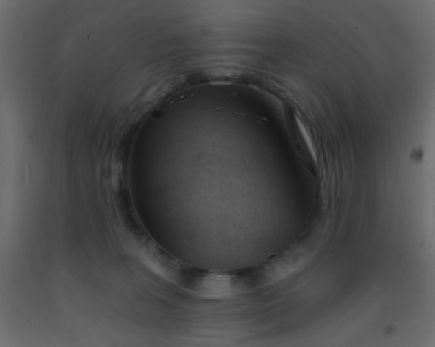 X0000093380227200710111502