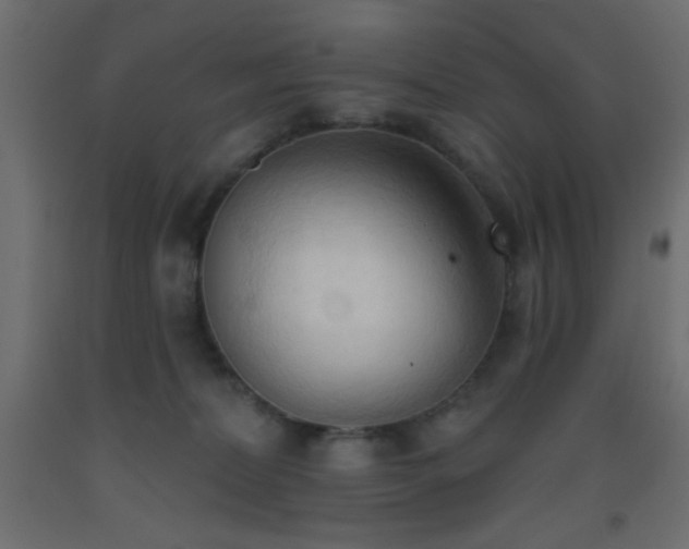 X0000093380228200710111502