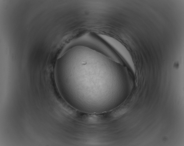 X0000093380229200710111502