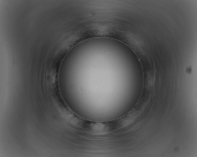 X0000093380230200710111502