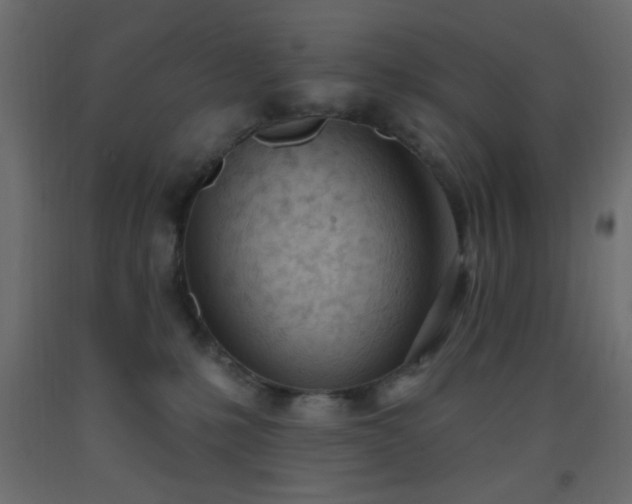 X0000093380231200710111502