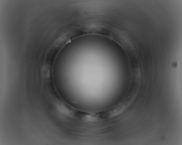 X0000093380232200710111502