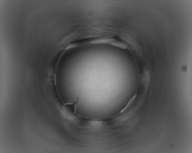 X0000093380233200710111502