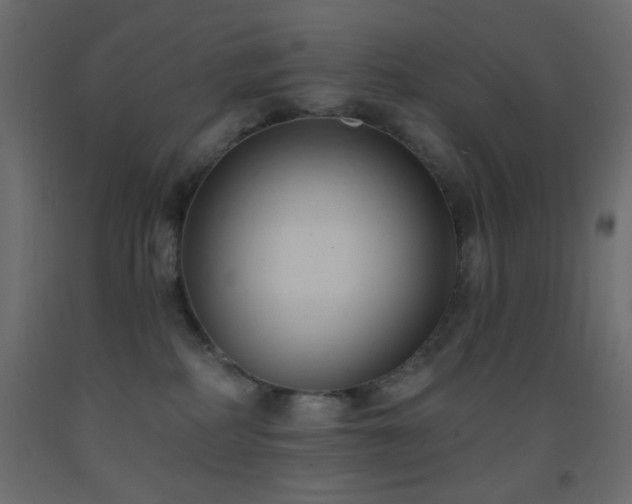 X0000093380234200710111502