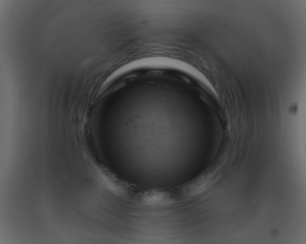 X0000093380235200710111502