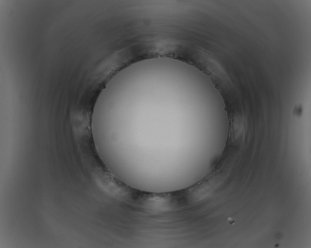 X0000093380236200710111502
