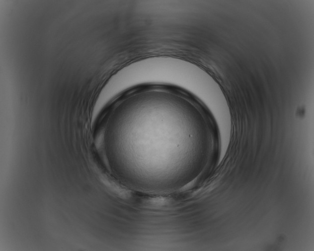 X0000093380237200710111502