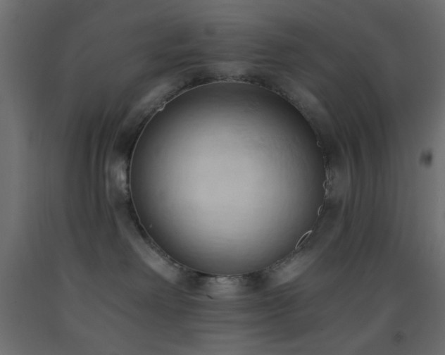 X0000093380238200710111502