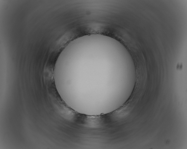 X0000093380240200710111502