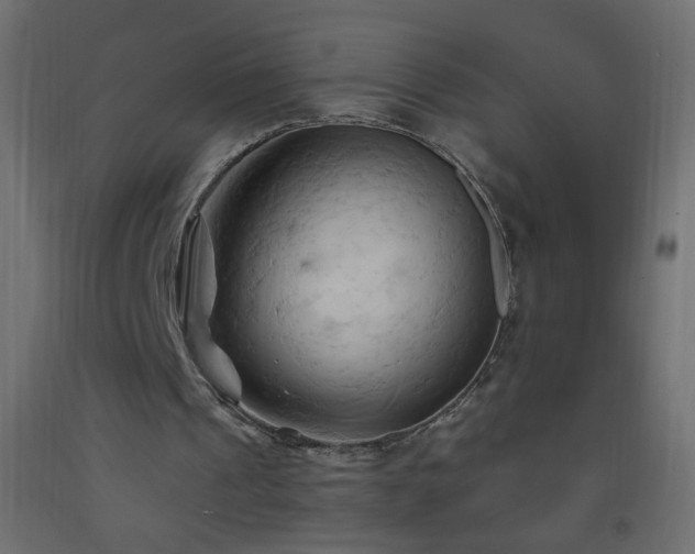 X0000093380241200710111501