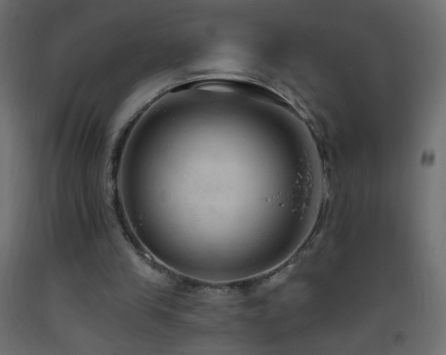 X0000093380245200710111501