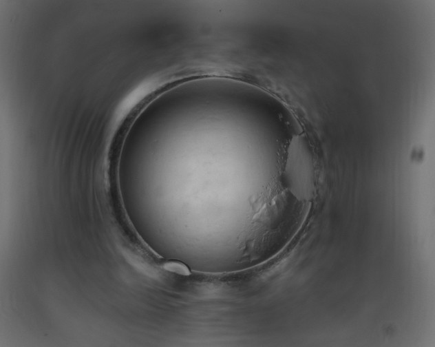 X0000093380246200710111501
