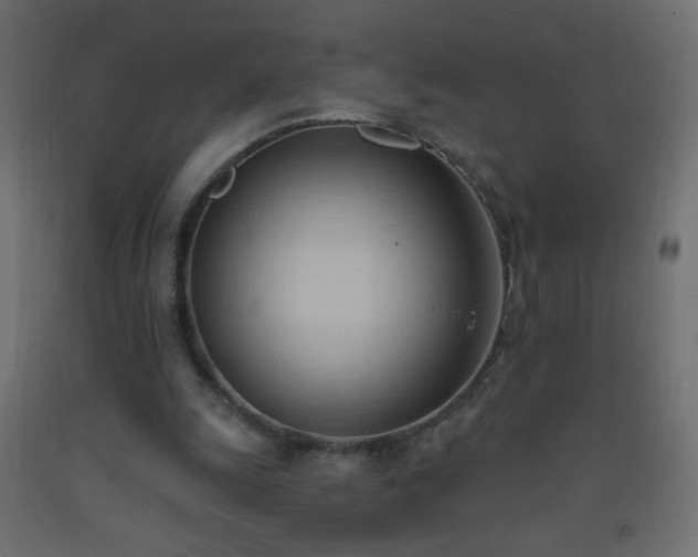 X0000093380247200710111501