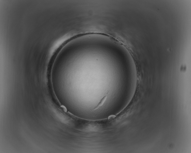 X0000093380248200710111501