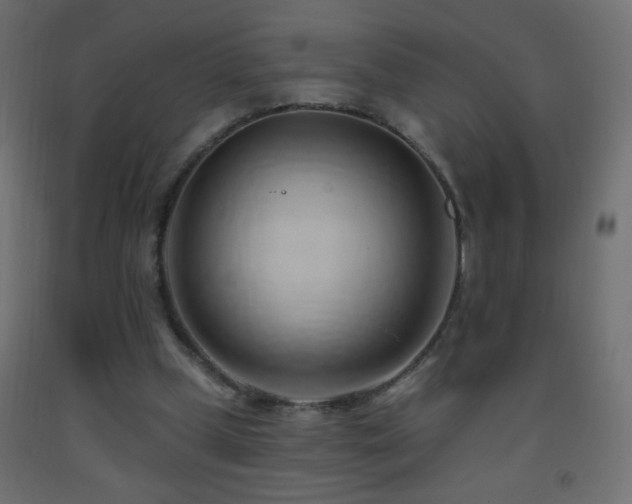 X0000093380249200710111501