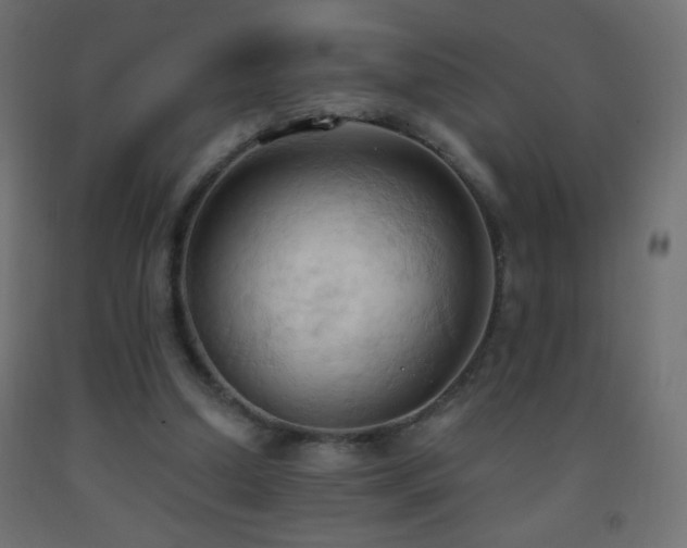 X0000093380250200710111501
